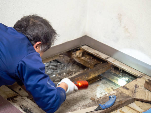 Best Emergency Mold Removal  in Sharon, PA