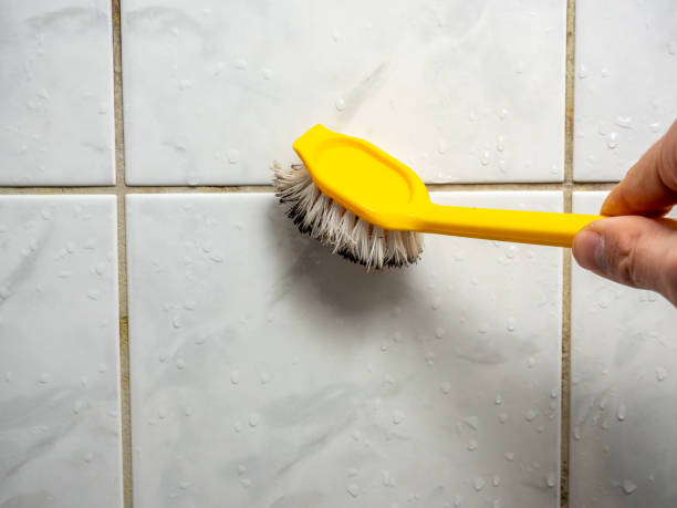 Best Mold Remediation  in Sharon, PA