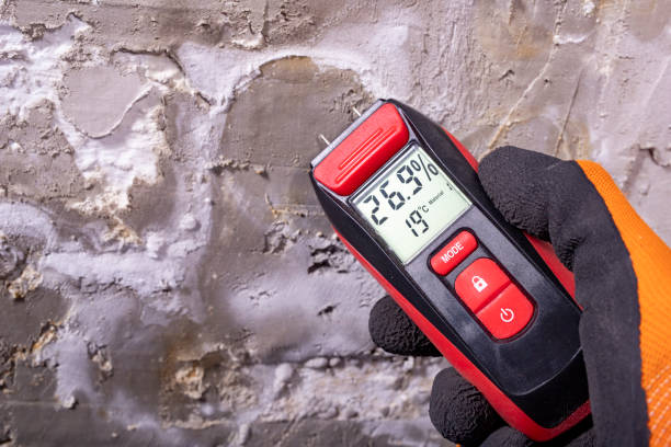 Certified Mold Removal in Sharon, PA