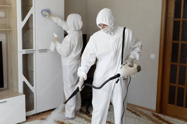 Best Mold Cleaning Services  in Sharon, PA