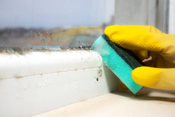 Best Office Mold Removal Services  in Sharon, PA