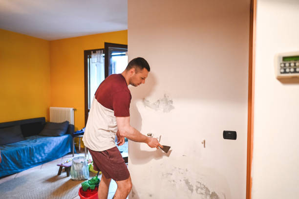 Best Black Mold Removal  in Sharon, PA
