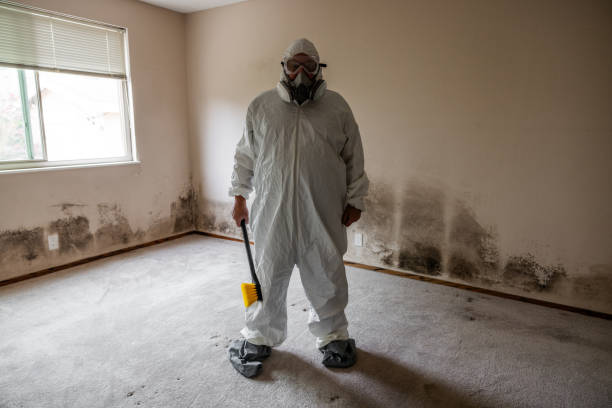 Mold Removal and Inspection in Sharon, PA